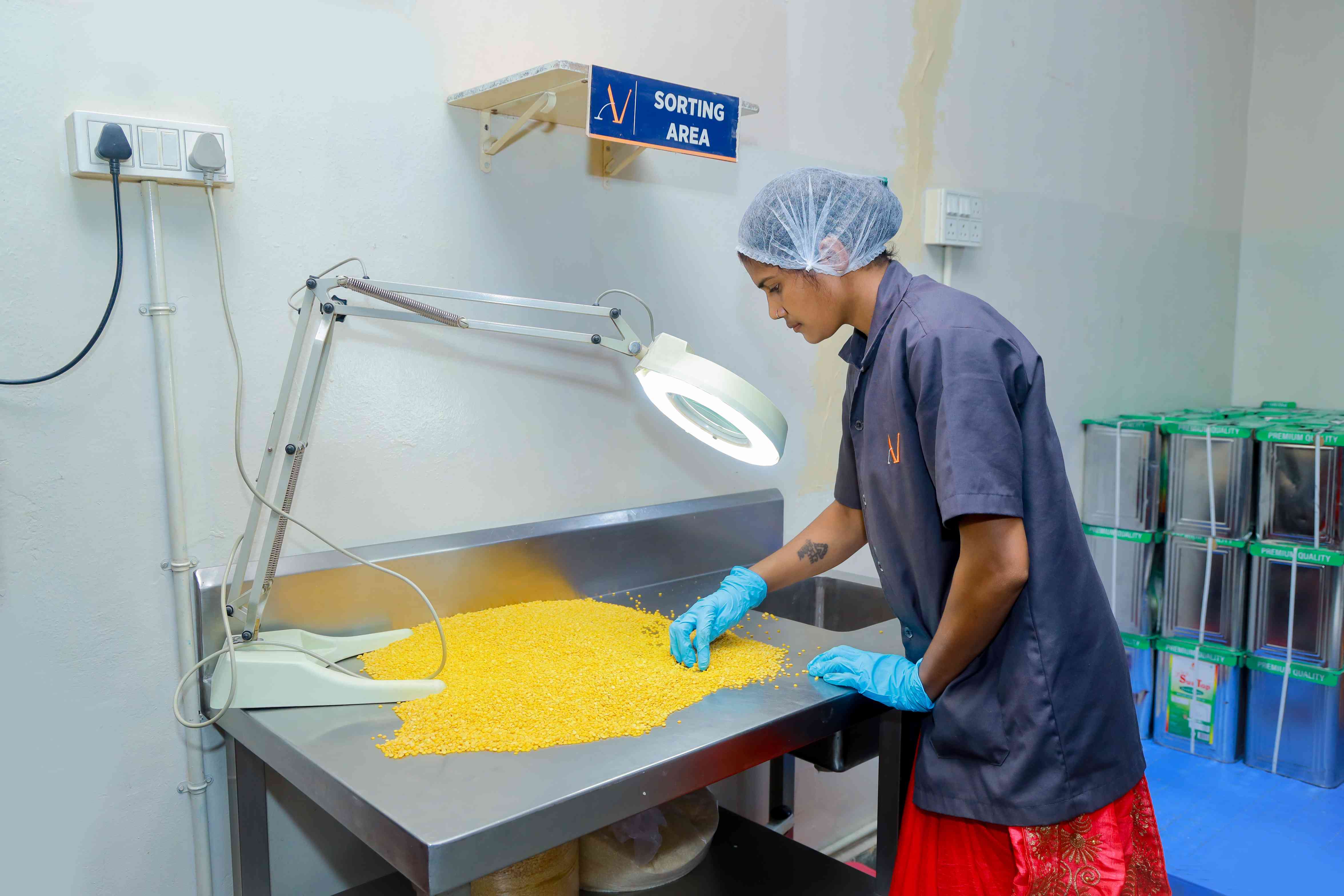 Food sorting area